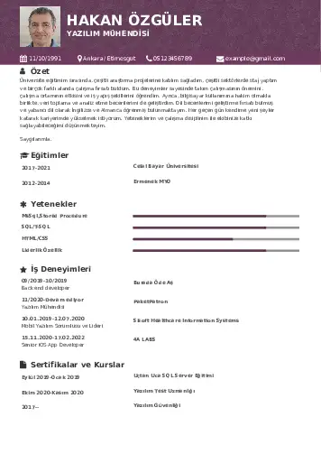 Yazılım Mühendisi Cv Örnekleri cv indir